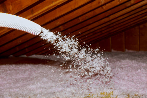 Best Insulation for Specific Applications in Springfield, VA